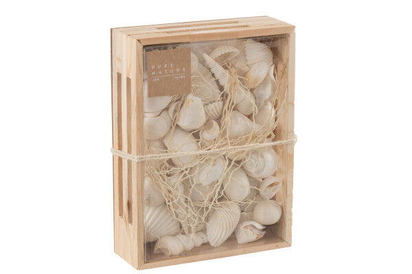 Dekobox mit Muscheln M