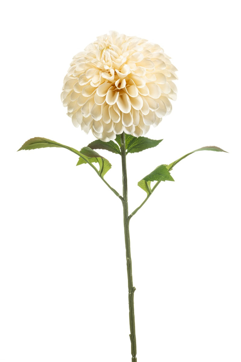 Emerald Dahlien-Pomponzweig XL in Creme mit großer, üppiger Blüte, grünem Stiel und Blättern, 77 cm lang.