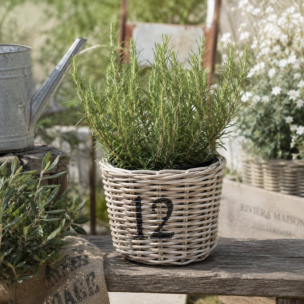 Rattan Planter No 12 | No 27 | No 39