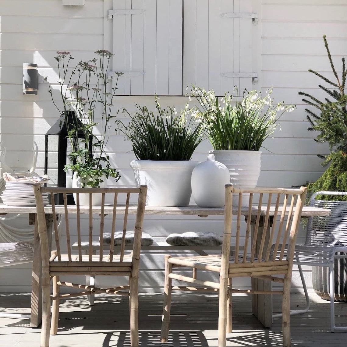 Garten & Terrasse