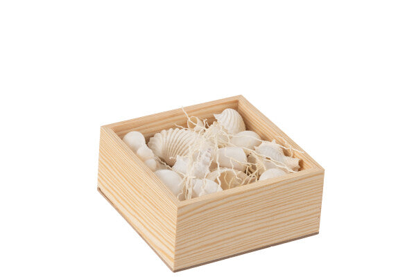 Dekobox mit Muscheln S