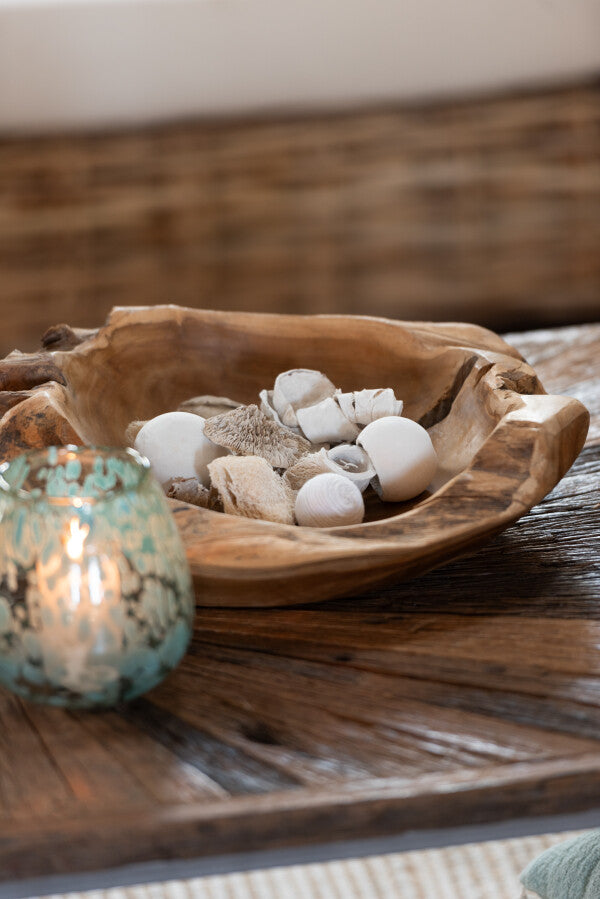 Dekobox Muscheln S