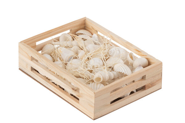 Dekobox mit Muscheln M