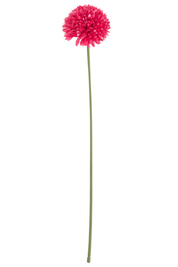 Chrysantheme