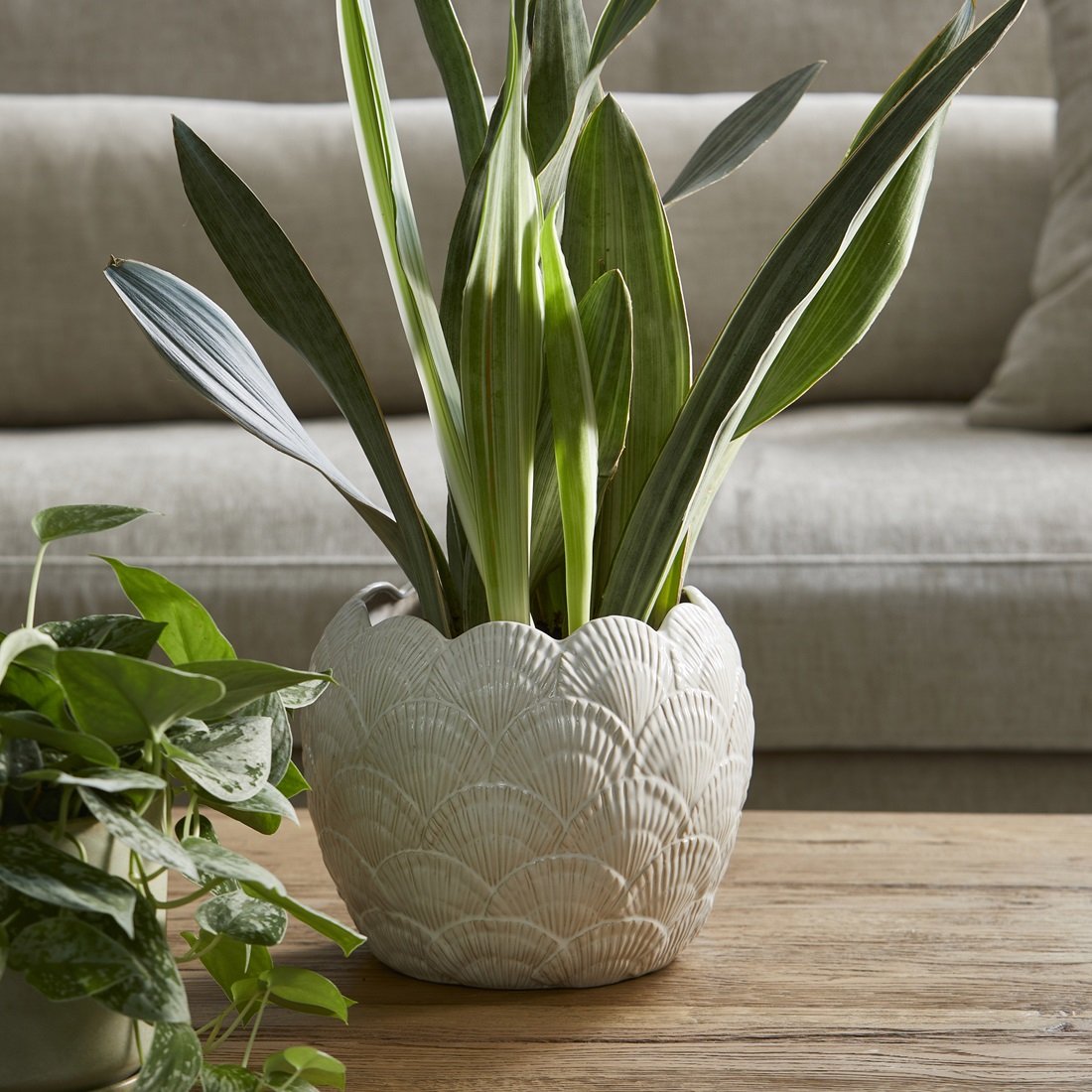 Riviera Maison Shell Planter
