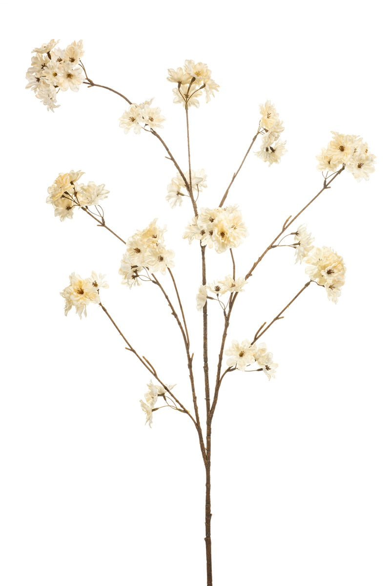 Blossom cherry spray cream 126cm