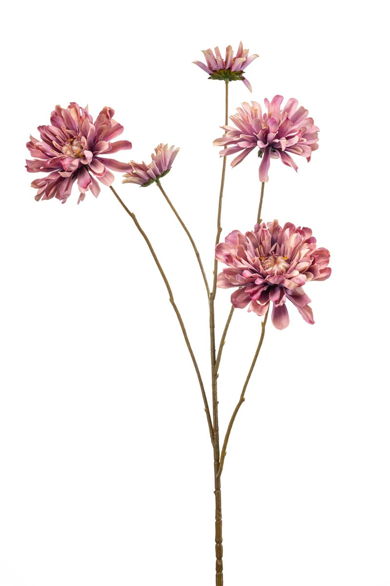 Zinnienzweig Pink 90 cm