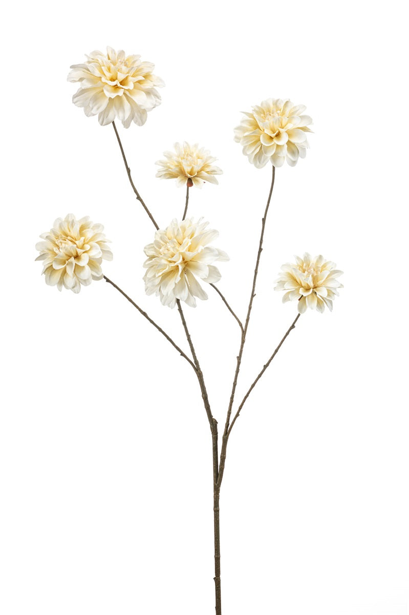 Dahlia spray cream 110cm