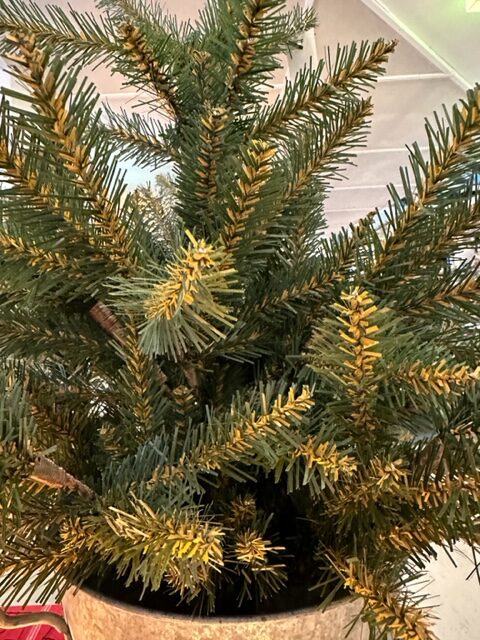 Tannenbaum im Metalltopf 80cm
