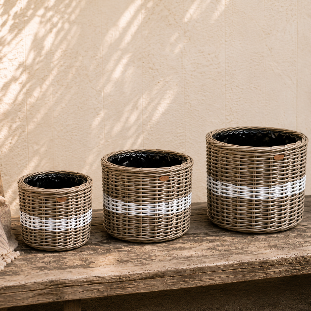Rattanübertöpfe mit weißem Streifen