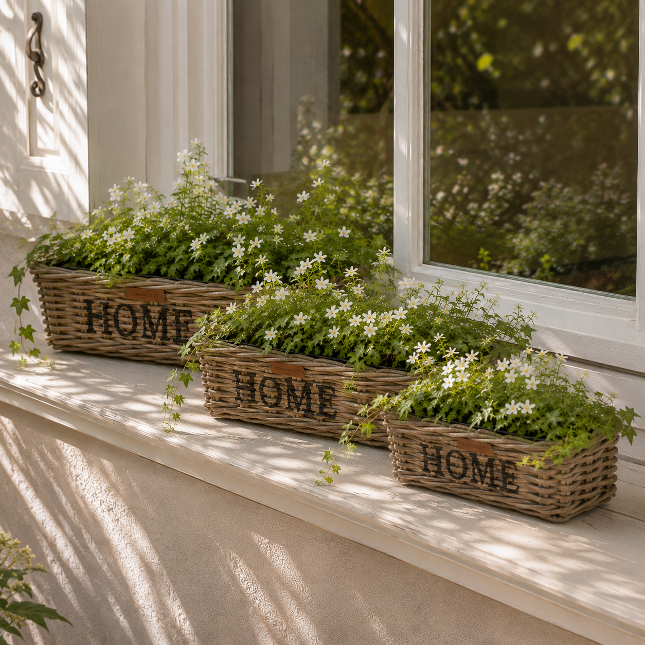 Rattan Planter HOME in drei Größen S, M und L mit weißen Blumen und Grünpflanzen auf einer Fensterbank im Landhausstil