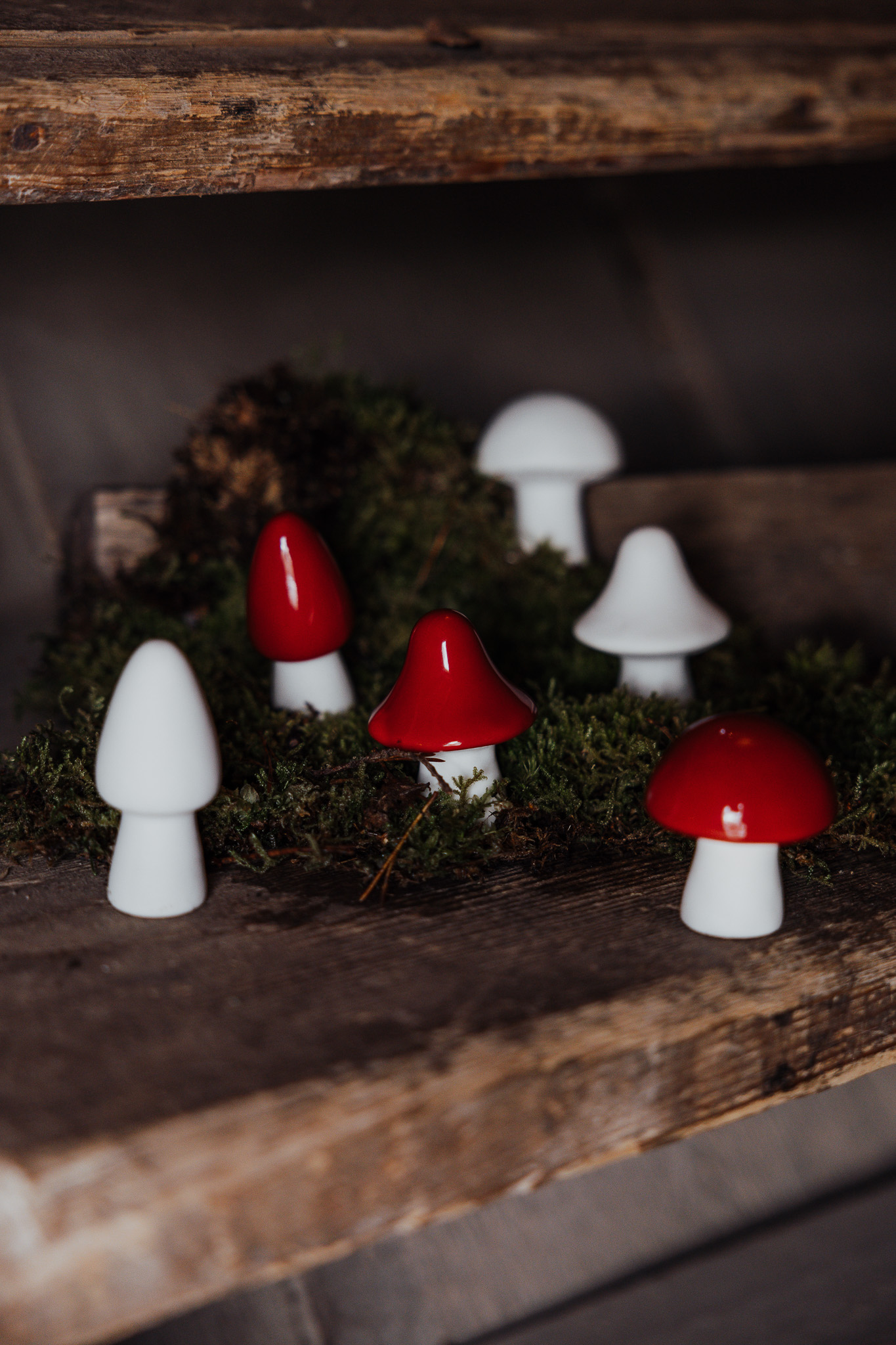 Deko Pilz – Bild 4