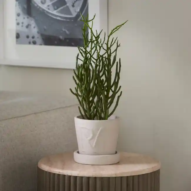 Pflanzgefรคร RM Monogramm, Natur, S RIVIERA MAISON