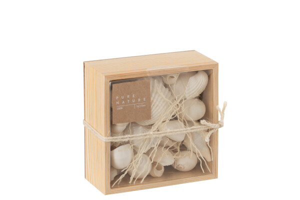 Dekobox mit Muscheln S